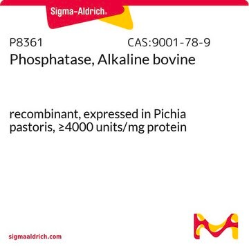 Phosphatase, Alkaline bovine recombinant, expressed in Pichia pastoris, &#8805;4000&#160;units/mg protein