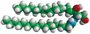 C16-Urea-Ceramide D-erythro-N-[2-(1,3-dihydroxy-4E-octadecene)]-N&#8242;-hexadecane-urea, powder