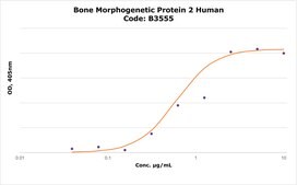 Bone Morphogenetic Protein&#160;2 human &#8805;98% (SDS-PAGE), recombinant, expressed in E. coli, lyophilized powder, suitable for cell culture