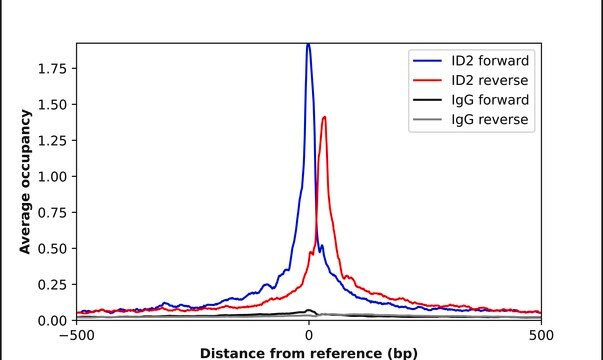 Anti-ID2 antibody produced in rabbit Prestige Antibodies&#174; Powered by Atlas Antibodies, affinity isolated antibody, buffered aqueous glycerol solution, ab1