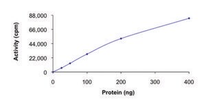 CDK1/CyclinB1, active, GST tagged human PRECISIO&#174; Kinase, recombinant, expressed in baculovirus infected Sf9 cells, &#8805;70% (SDS-PAGE), buffered aqueous glycerol solution