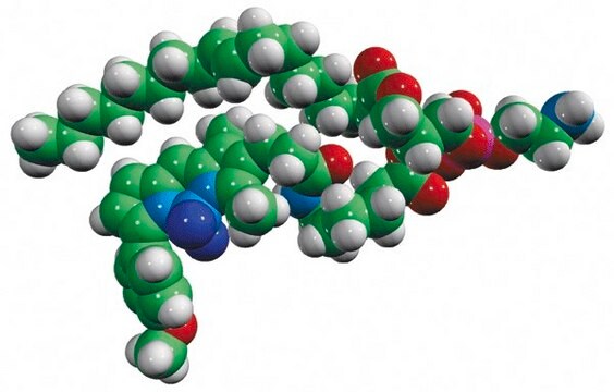 TopFluor&#8482; TMR PE Avanti Research&#8482; - A Croda Brand 810241P, powder