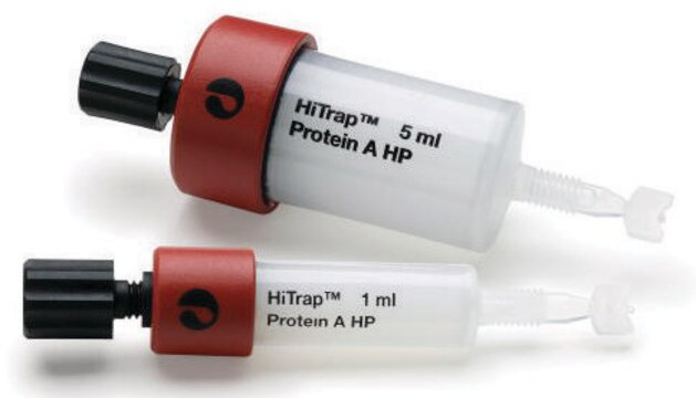 HiTrap&#174; Protein A High Performance Cytiva 29-0485-76, pack of 1&#160;mL