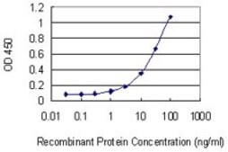 Monoclonal Anti-HBA1 antibody produced in mouse clone 4F9, purified immunoglobulin, buffered aqueous solution