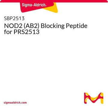 NOD2 (AB2) Blocking Peptide for PRS2513