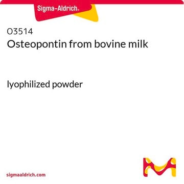 Osteopontin from bovine milk lyophilized powder