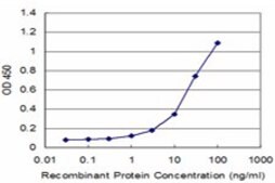 Monoclonal Anti-P2RY1, (N-terminal) antibody produced in mouse clone 4C2, purified immunoglobulin, buffered aqueous solution