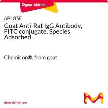 Goat Anti-Rat IgG Antibody, FITC conjugate, Species Adsorbed Chemicon&#174;, from goat