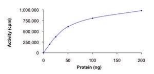 ROCK2 (5-554), active, His tagged human PRECISIO&#174; Kinase, recombinant, expressed in baculovirus infected Sf9 cells, &#8805;70% (SDS-PAGE), buffered aqueous glycerol solution