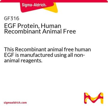 EGF Protein, Human Recombinant Animal Free This Recombinant animal free human EGF is manufactured using all non-animal reagents.