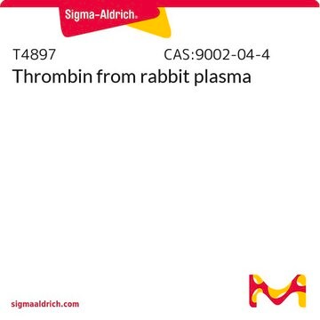 Thrombin from rabbit plasma