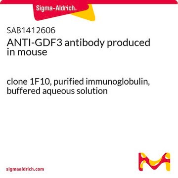 ANTI-GDF3 antibody produced in mouse clone 1F10, purified immunoglobulin, buffered aqueous solution