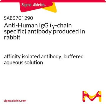 Anti-Human IgG (&#947;-chain specific) antibody produced in rabbit affinity isolated antibody, buffered aqueous solution