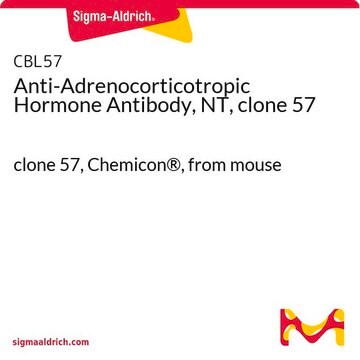 Anti-Adrenocorticotropic Hormone Antibody, NT, clone 57 clone 57, Chemicon&#174;, from mouse