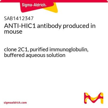 ANTI-HIC1 antibody produced in mouse clone 2C1, purified immunoglobulin, buffered aqueous solution