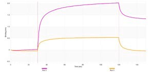 Anti-CARD8 Antibody, clone 1C23 ZooMAb&#174; Rabbit Monoclonal recombinant, expressed in HEK 293 cells
