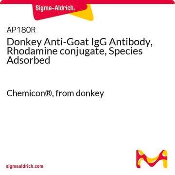 Donkey Anti-Goat IgG Antibody, Rhodamine conjugate, Species Adsorbed Chemicon&#174;, from donkey