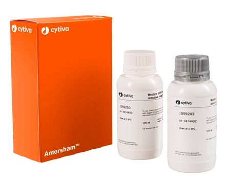 ECL&#8482; Western Blotting Reagents Cytiva RPN2106