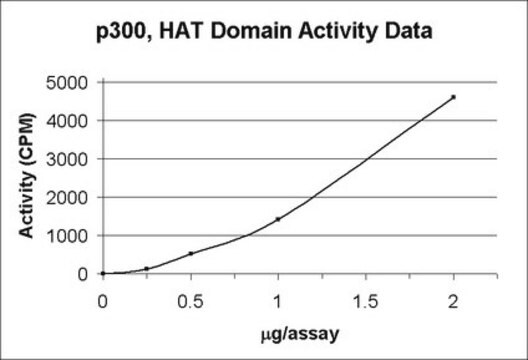 p300, HAT Domain Recombinant GST-fusion protein corresponding to amino acids 1066-1707 of human p300.