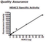 HDAC 2 His tag human recombinant, expressed in baculovirus infected insect cells, &#8805;80% (SDS-PAGE)