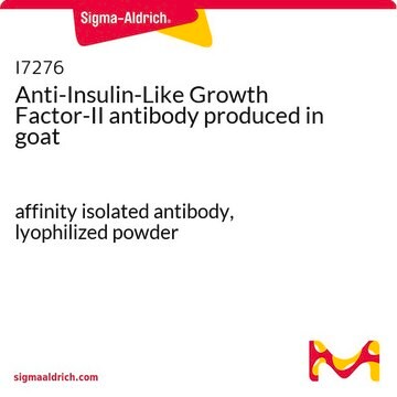 Anti-Insulin-Like Growth Factor-II antibody produced in goat affinity isolated antibody, lyophilized powder