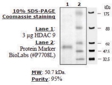 HDAC-9 human recombinant, expressed in baculovirus infected insect cells, &#8805;80% (SDS-PAGE)