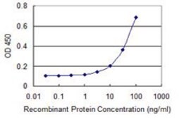 Monoclonal Anti-NFKBIB antibody produced in mouse clone 2B11, purified immunoglobulin, buffered aqueous solution