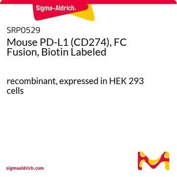 Mouse PD-L1 (CD274), FC Fusion, Biotin Labeled recombinant, expressed in HEK 293 cells