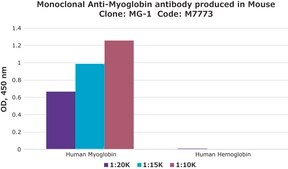 Monoclonal Anti-Myoglobin antibody produced in mouse clone MG-1, ascites fluid