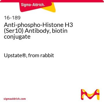 Anti-phospho-Histone H3 (Ser10) Antibody, biotin conjugate Upstate&#174;, from rabbit