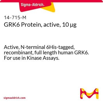 GRK6 Protein, active, 10 &#181;g Active, N-terminal 6His-tagged, recombinant, full length human GRK6. For use in Kinase Assays.