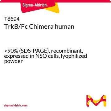 TrkB/Fc Chimera human &gt;90% (SDS-PAGE), recombinant, expressed in NSO cells, lyophilized powder