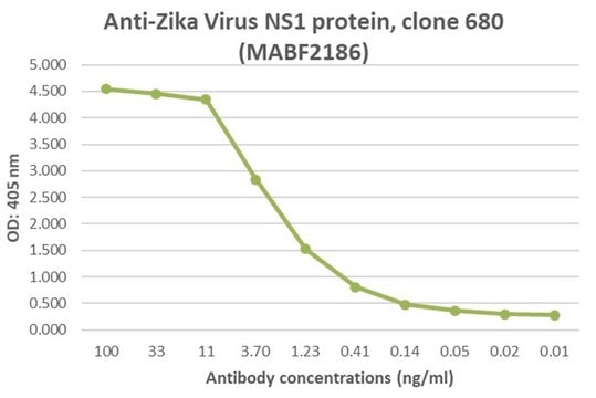 Anti-Zika Virus NS1 protein Antibody purified antibody, clone 680, from mouse