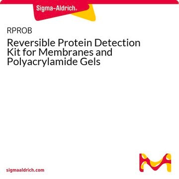 Reversible Protein Detection Kit for Membranes and Polyacrylamide Gels