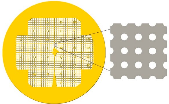 QUANTIFOIL on London Finder Grids (H7) Gold Grids, size 400&#160;mesh, pack of 100