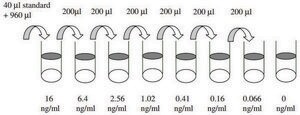 Human BDNF ELISA Kit for serum, plasma, cell culture supernatant and urine