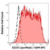 Monoclonal Anti-CD271, purified produced in mouse