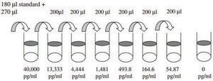 Human CD40 ELISA Kit for serum, plasma, cell culture supernatant and urine