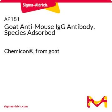 Goat Anti-Mouse IgG Antibody, Species Adsorbed Chemicon&#174;, from goat