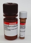 ReadyShield&#174; Protease Inhibitor Cocktail for use in purification of Histidine-tagged proteins, Non-freezing solution