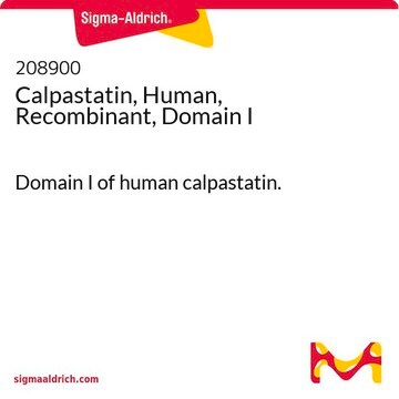 Calpastatin, Human, Recombinant, Domain I Domain I of human calpastatin.