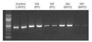 DNAstable&#174; Tube kit, for room temp preservation of DNA