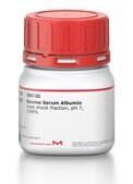 Bovine Serum Albumin heat shock fraction, pH 7, &#8805;98%