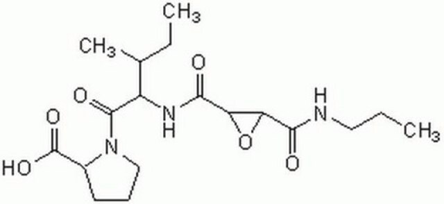 CA-074 CA-074, also referenced under CAS 134448-10-5, modulates the biological activity of cathepsin B. This small molecule/inhibitor is primarily used for Protease Inhibitors applications.