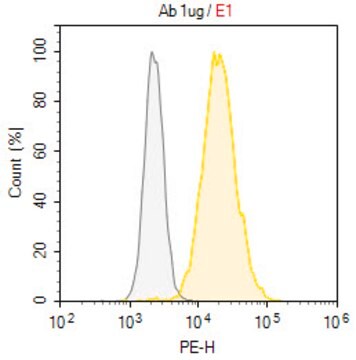 Anti-CD97 Antibody, clone CLB‐CD97/1