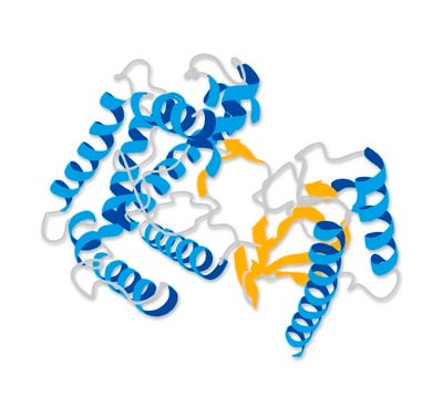 MMP-2, Active, Human, Recombinant, Mouse Cells