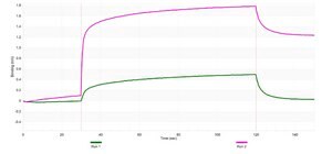 Anti-SLC1A3/EAAT1 Antibody, clone 2C3-K ZooMAb&#174; Rabbit Monoclonal recombinant, expressed in HEK 293 cells
