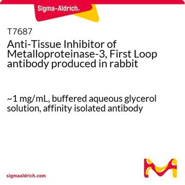 Anti-Tissue Inhibitor of Metalloproteinase-3, First Loop antibody produced in rabbit ~1&#160;mg/mL, buffered aqueous glycerol solution, affinity isolated antibody