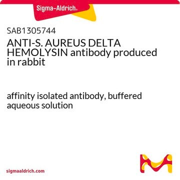 ANTI-S. AUREUS DELTA HEMOLYSIN antibody produced in rabbit affinity isolated antibody, buffered aqueous solution