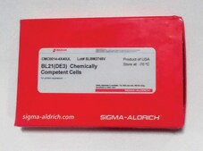 BL21(DE3) Chemically Competent Cells for protein expression